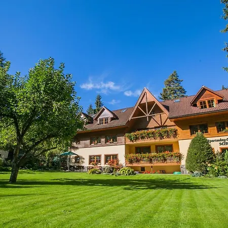 A štúdiá Miroslav *