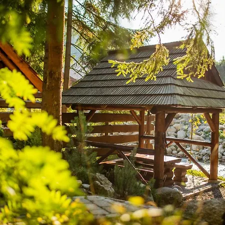 A Studia Miroslav * Демяновская долина