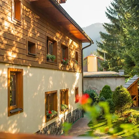 A Studia Miroslav * Демяновская долина