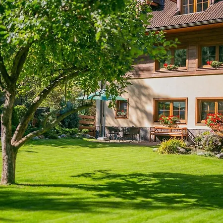 A Studia Miroslav * Демяновская долина