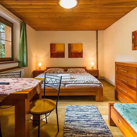 A štúdiá Miroslav